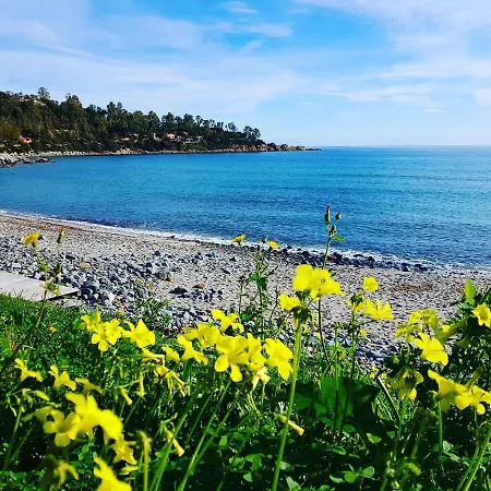 Pensionat Dany Con Giardino *